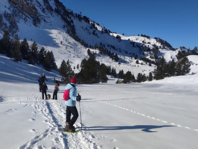 Excursion guidée avec des raquettes de neige par Baqueira Beret