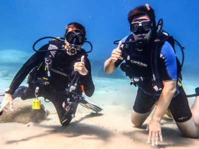 Curso PADI Open Water Diver en Mylopotas, Ios