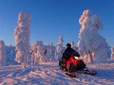 Excursion en motoneige dans les aurores à Ylläs