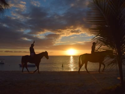 Reiten bei Sonnenuntergang in Le Morne, Mauritius