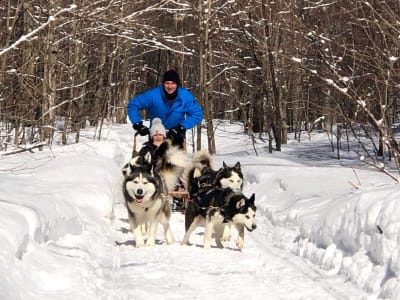 Balade en traîneau à chiens à Saint-Hippolyte avec repas québécois