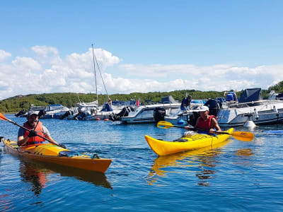 Half-day Sea Kayaking Tour in the Bohuslän Archipelago from Grundsund