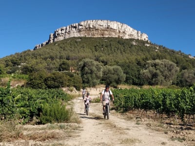 Balade à vélo aux domaines viticoles de Cassis avec dégustation de vin