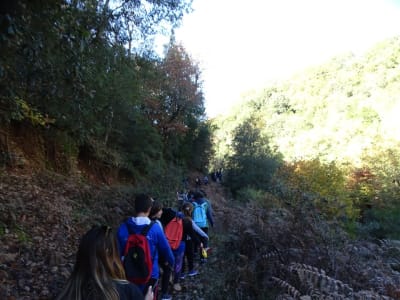 Hiking through the Foloi forest and Centaurs' Gorge near Olympia