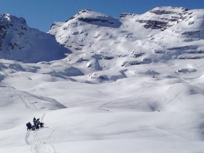 Backcountry-Snowboarding am Tonalepass