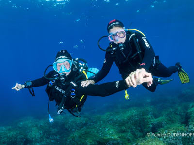 First Dive in Marseille