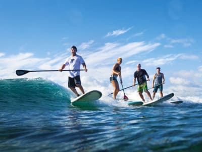 Stand up paddle rental in La Tranche sur Mer