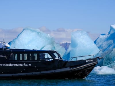 Excursion en bateau à Ny-Ålesund, la ville la plus septentrionale du monde au Svalbard