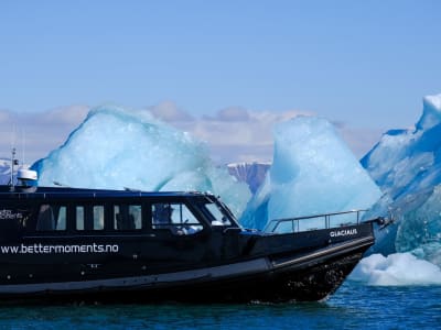 Excursión en barco a Ny-Ålesund, la ciudad más septentrional del mundo en Svalbard