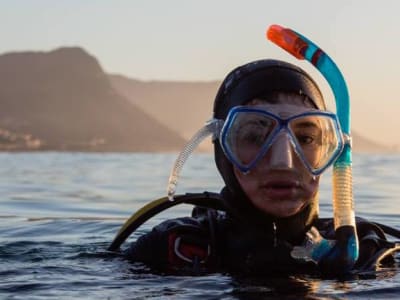 Curso privado de buceo en aguas abiertas en Ciudad del Cabo