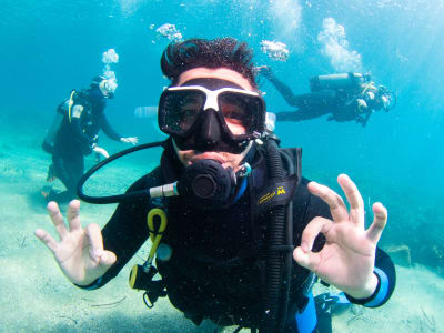 Descubra el buceo en Paphos, Chipre