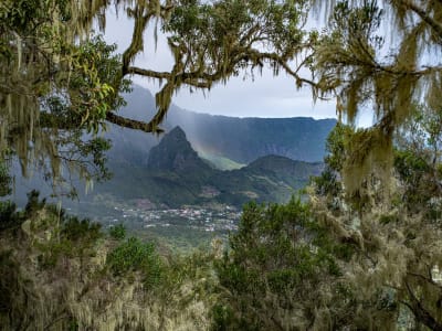 Guided Van Excursion to the Cirque de Cilaos, Reunion Island