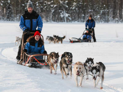 Safari en trineo tirado por perros para principiantes en Saariselkä