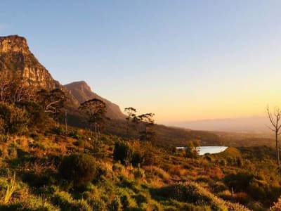 Table Mountain Hike from the Kirstenbosch Gardens, Cape Town