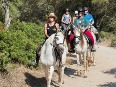 Paseo a Caballo desde Alcudia, Mallorca