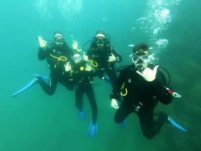 Découverte de plongée sous-marine à Piran, près de Koper