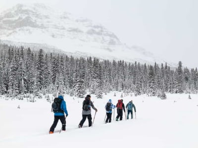 Lawinensicherheitstraining in Banff, in der Nähe von Calgary