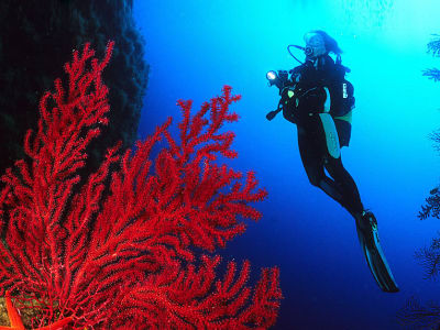 Buceo privado en Pianottoli, cerca de Bonifacio