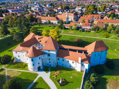 Scenic Flight over Varaždin Town