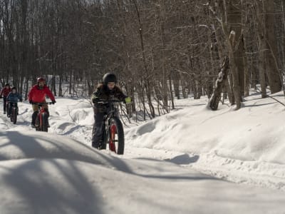 Fat Bike rental in the Îles-de-Boucherville Park, Montréal