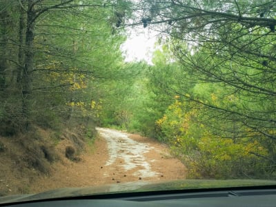 Safari en 4x4 à Agiassos Hill, Lesbos