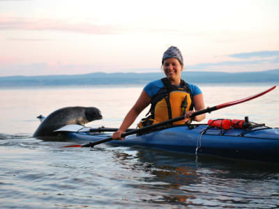 Geführter Kajakausflug mit den Robben im Forillon-Nationalpark, Gaspésie