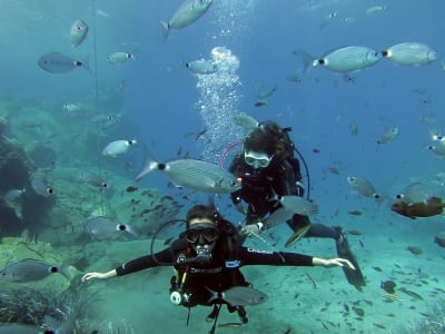 PADI Open Water Diving Course in Akrotiri, Santorini