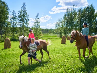 Excursión a caballo y natación en Hiukkajoki, cerca de Savonlinna