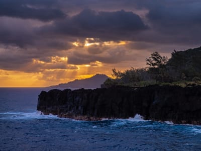 Guided Van Excursion around Reunion Island