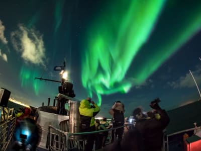 Excursión en barco por las auroras boreales, Reikiavik