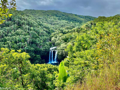 Excursión guiada a la cascada de León desde Surinam, Mauricio