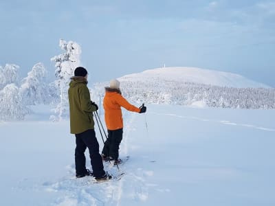 Half-day Snowshoe Hike to an Amethyst Mine in Pyhä