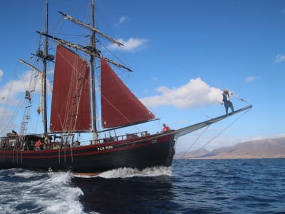 Excursión en barco pirata desde Morro Jable, Fuerteventura