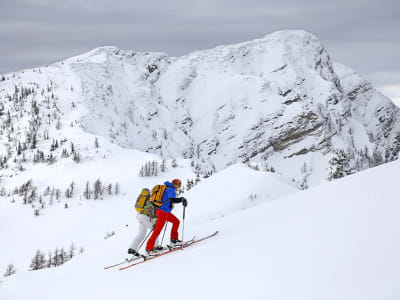 Randonnées à ski guidées dans les Alpes slovènes