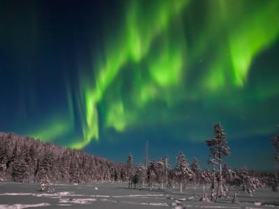 Caza de auroras boreales y hoguera de Levi