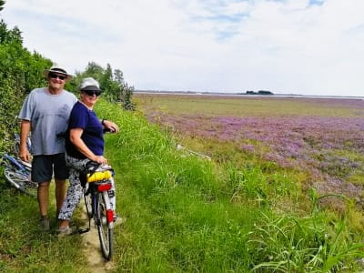 Excursion à vélo et dégustation de miel sur l'île de Sant'Erasmo, Venise