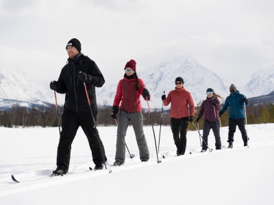 Introduction to Cross-country Skiing in Breivikeidet from Tromsø