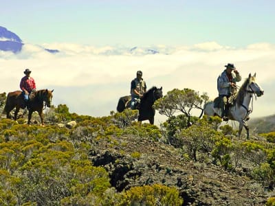 Horse riding at the Piton de la Fournaise volcano, Reunion Island