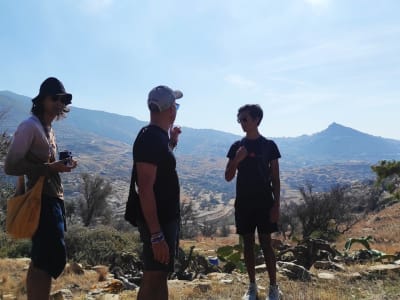 Excursión al yacimiento arqueológico de Skarkos a través del puerto viejo desde Chora, Ios