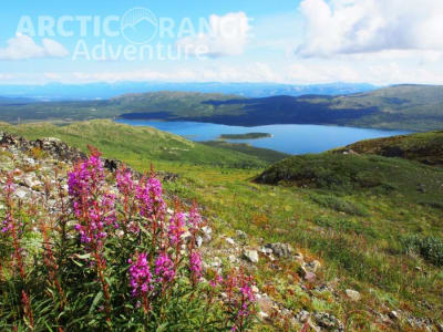 Wanderung zum Alpensee von Whitehorse, Yukon