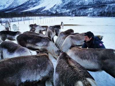 Sightseeing Tour and Reindeer Farm Visit from Tromsø