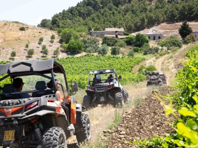 Buggy-Tour um Segesta und Castellammare del Golfo bei Trapani, Sizilien