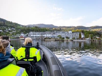 Safari en semirrígida por el Osafjord desde Ulvik, cerca de Bergen