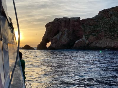 Excursion en bateau vers les îles Berlengas et visite guidée de l'île et des grottes depuis Peniche