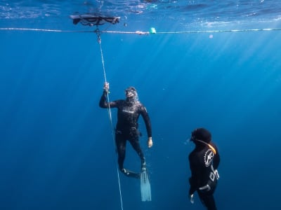 Einführung in das Freitauchen bei Trois-Îlets auf Martinique