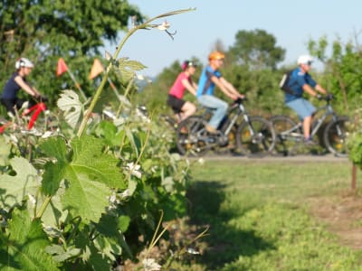 Excursión en bicicleta eléctrica con cata de vinos en Ardèche