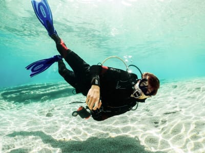 Descubra el submarinismo desde Paradise Beach en Mykonos