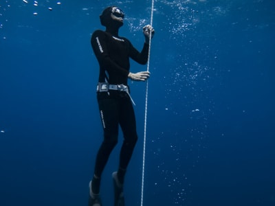 Freediving initiation course in Tabaiba, Santa Cruz de Tenerife