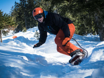 Snowskating at the Grossglockner