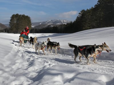 Trineos tirados por perros en Mont-Tremblant, Laurentians